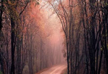 世界级球队的激烈对决吸引无数球迷瞩目