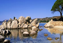 世界级球队的激烈对决吸引无数球迷瞩目