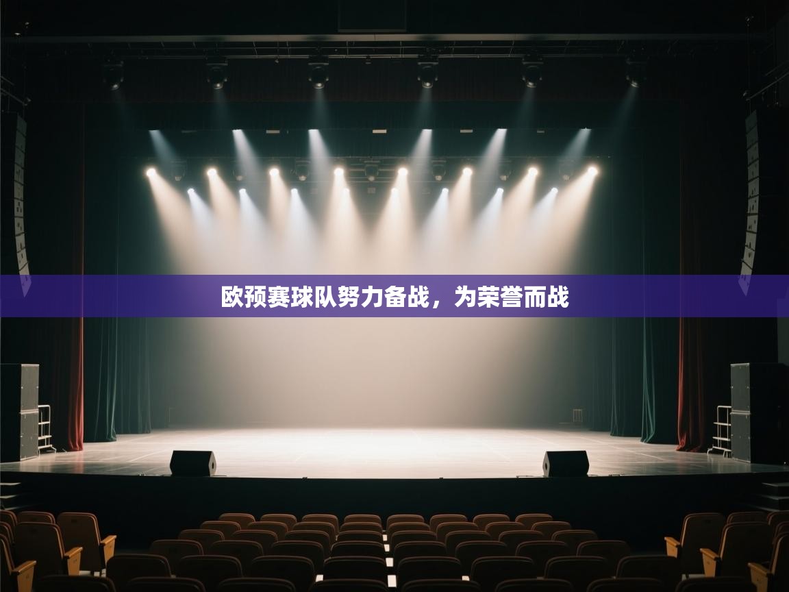 欧预赛球队努力备战，为荣誉而战  第1张