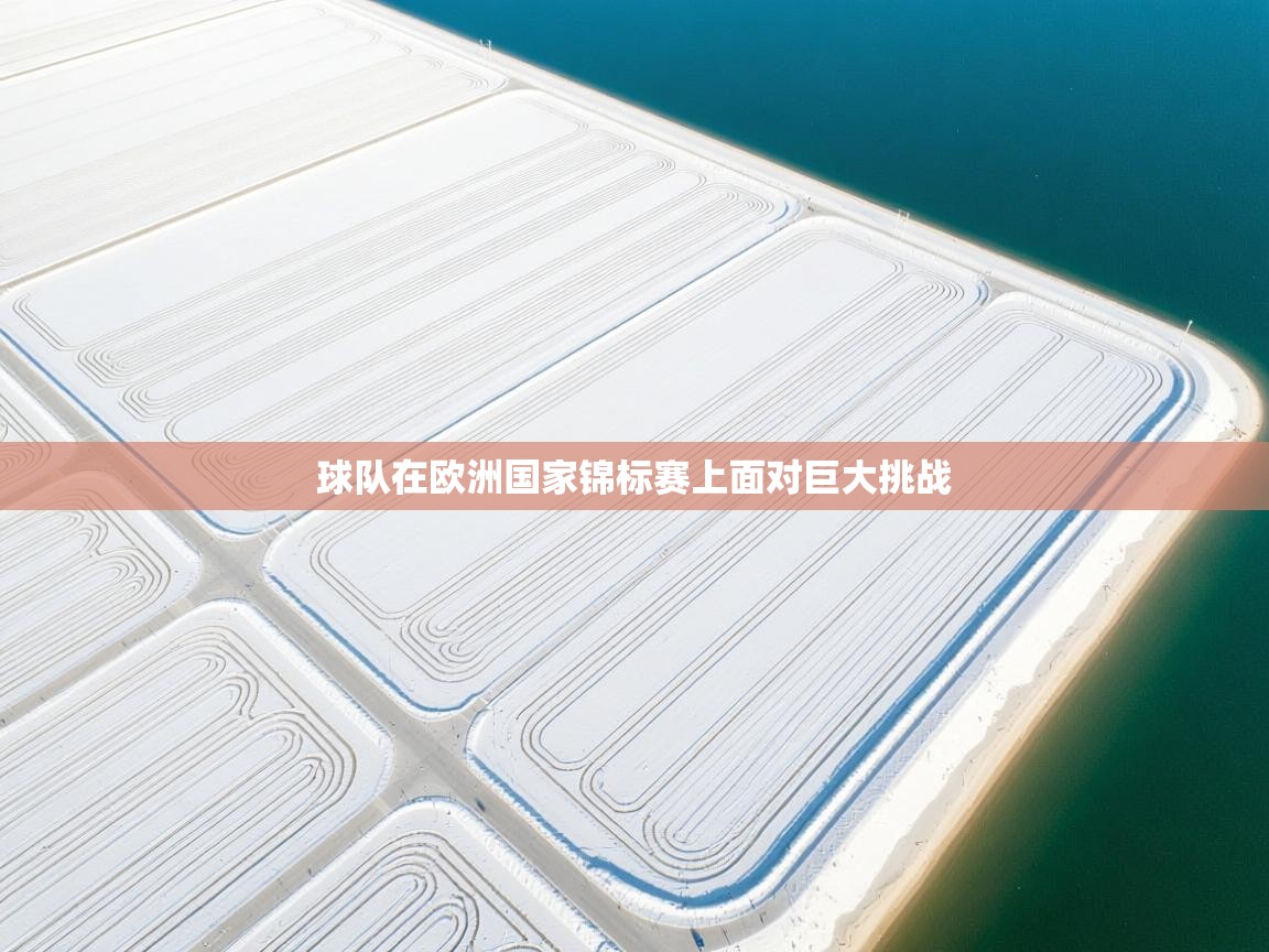 球队在欧洲国家锦标赛上面对巨大挑战  第1张