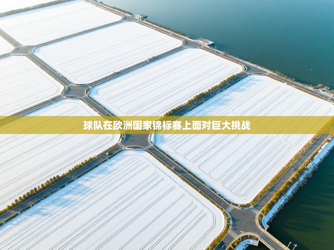 球队在欧洲国家锦标赛上面对巨大挑战  第2张