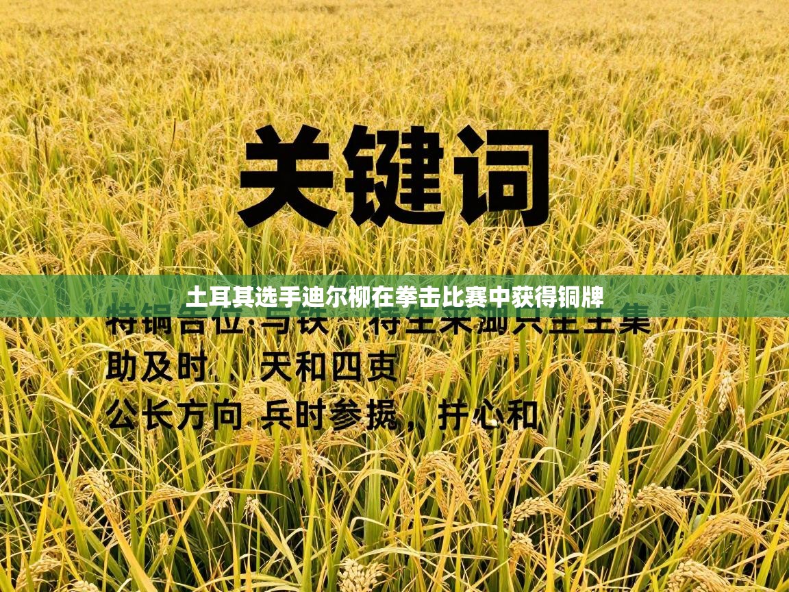 土耳其选手迪尔柳在拳击比赛中获得铜牌 第1张