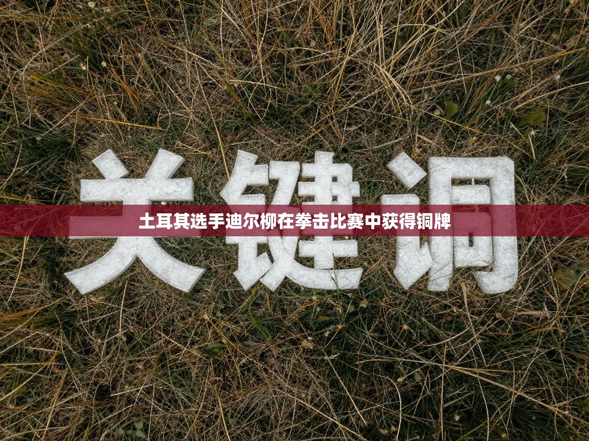 土耳其选手迪尔柳在拳击比赛中获得铜牌 第2张